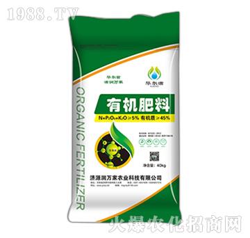 �ЙC����-���f���r(n��ng)�I(y��)