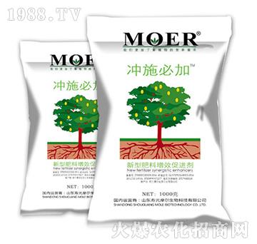 �_ʩ�ؼ�-Ħ������