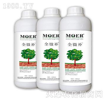 ȫ΢�a(b��)-Ħ������