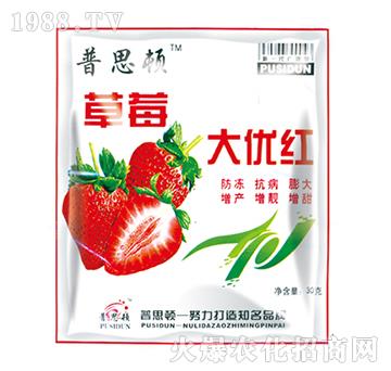 ��ݮ���ּt-��˼�D�r�I(y��)