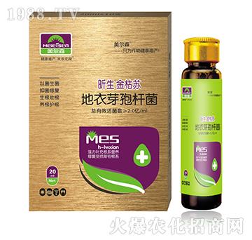 �������K���M�ϣ�-��