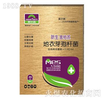 ����ѿ�ߗU��-������