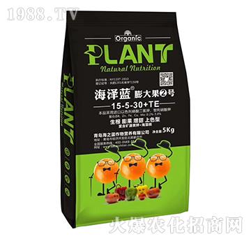 膨大果2號-海澤藍(lán)-海之藍(lán)