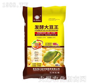 發(fā)酵大豆王-海之藍(lán)