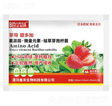 草莓碧多加-鑫禾生物