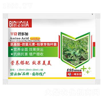 ���ı̶��-�κ�����