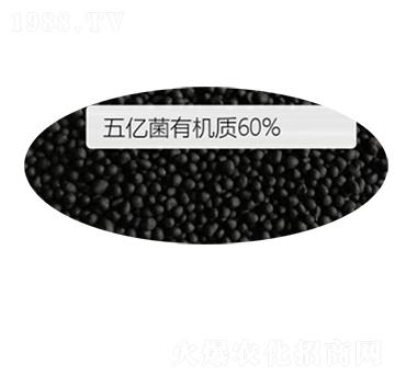 �w��΢�������-�G�����ʘI(y��)