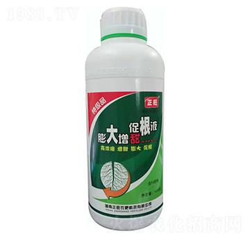 膨大增甜促根液-正旺農(nóng)肥