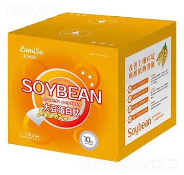 �󶹵�����-�����K-��