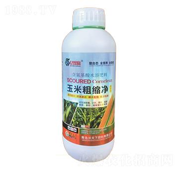 ���״ֿs��-�|�p�A-������