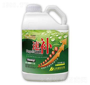 ���a(b��)-ʢ������