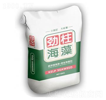 ��������-형r�