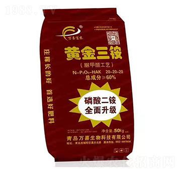 �S�����@�����ȩ��ˇ��-�fϲ����