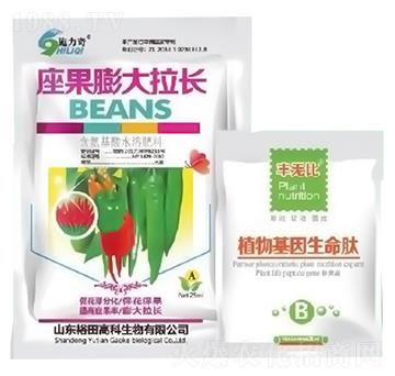 座果膨大拉長(zhǎng)-施力奇-裕田高科