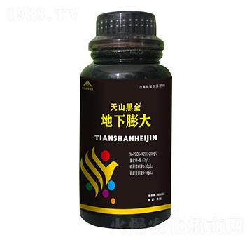 �������-��ɽ�ڽ�-����ú