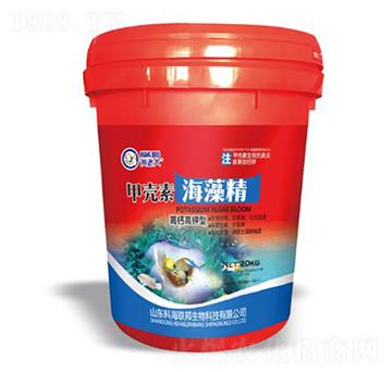 �ך��غ��徫-�S�ϴ�-