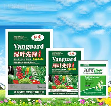 �G�~���h1+1-ֲʥ-��Ұ�r��