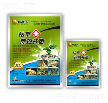 枯草芽孢桿菌-稼普樂-潤澤肥業(yè)