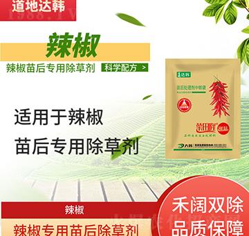 �������݄�-�������-������(zhu��n)��-����-���n