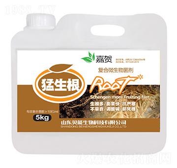 復合微生物菌劑-猛生根-貝能生物