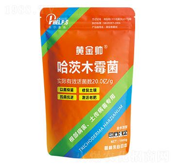 ����ľù��-�S����-��