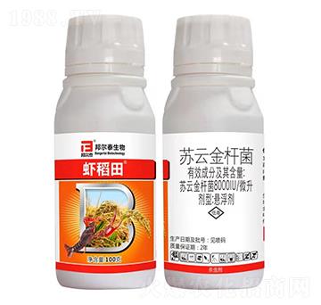 �K�ƽ�U��-�r����-��