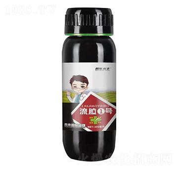 ���z1̖ �������� ̩����H