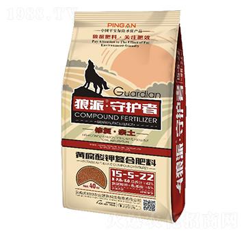 �S����⛏ͺϷ���15-5-22-���o��-����