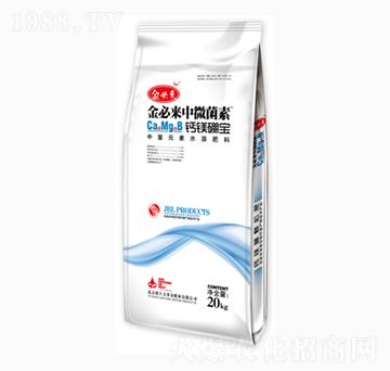 �}�V����-��΢����-��