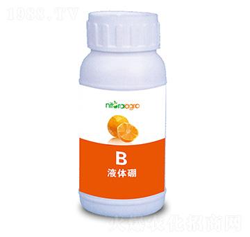 Һ�w��-���_(d��)�_