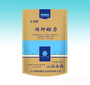 ��⛄���-��ԣ��