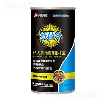 �L(zh��ng)֦����(c��)�߶�ѿ�ߗU��-