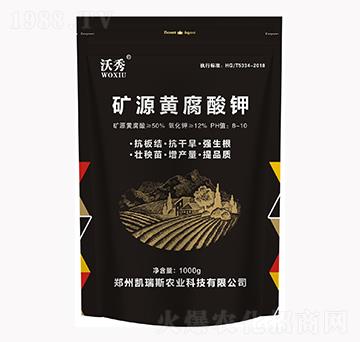 �VԴ�S�����-����-�P