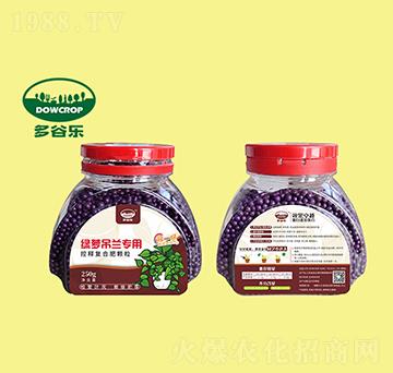 綠籮吊蘭專用肥-多谷樂(lè)