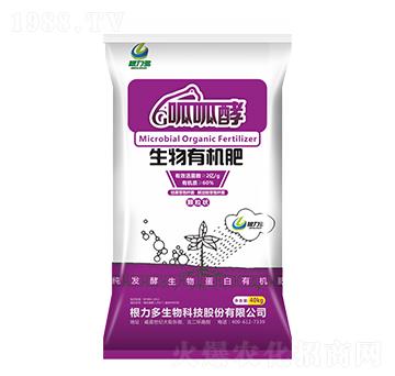 �����ЙC(j��)��-���ɽ�-��