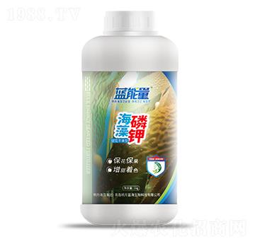 1kg促花豐果型海藻磷鉀-藍(lán)能量