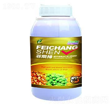 飛常神-士林科技