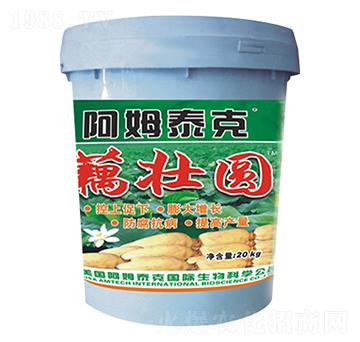 藕壯圓-阿姆泰克-迦姆農業(yè)