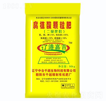 ��ֲ���w����-�|�ۼμ�