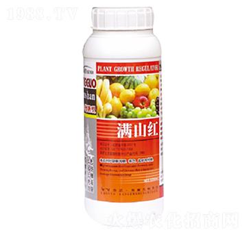 �M(m��n)ɽ�t-������