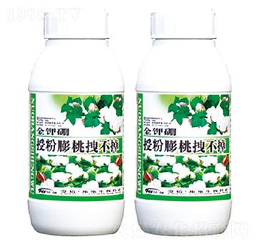 �ڷ�����ק����-������