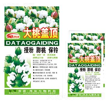 �����w�-������