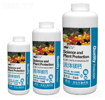 ���w�V�}-������