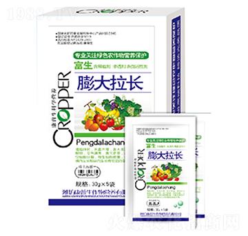 ������L(zh��ng)-������