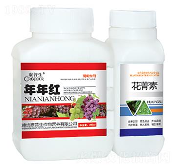 ������ɫ����-����t+������-������