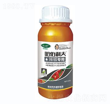 ������(zhu��n)��-��������