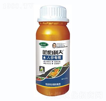 �˅�����-��������