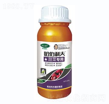 ��ˌ���-��������