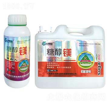 �Ǵ��V-�|�p�A-����Ԫ��