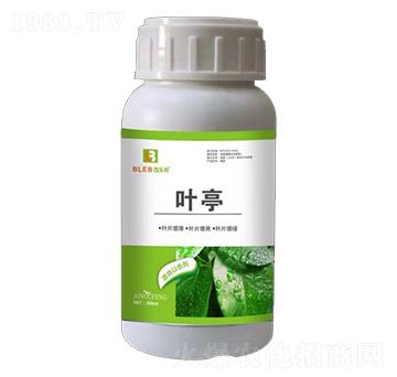 �~ͤ-�٘���